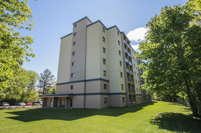 1 Bedroom Apartment Orillia - Great View! in Long Term Rentals in Barrie - Image 2