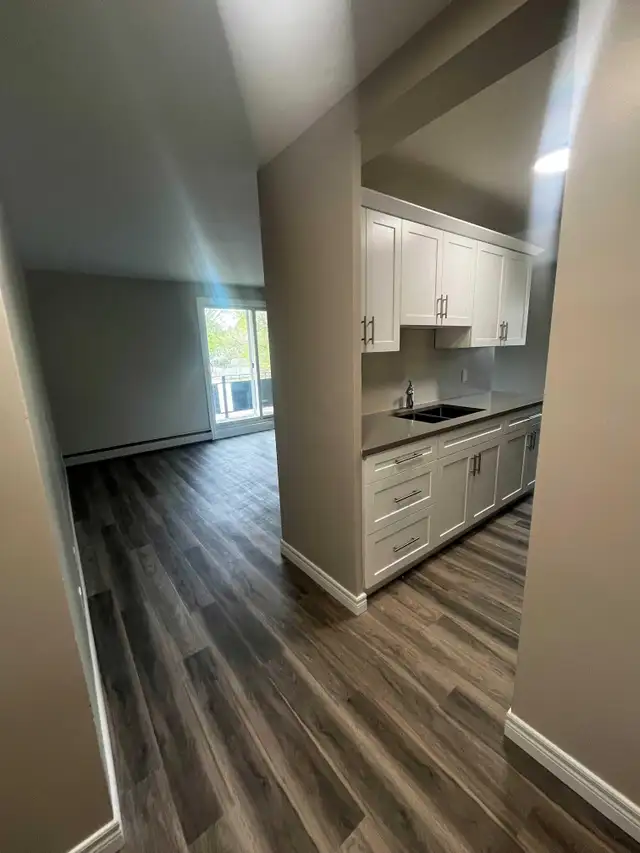 1 Month Free | Renovated 2-Bedroom | In-Suite Laundry | Balcony in Long Term Rentals in Sarnia - Image 7