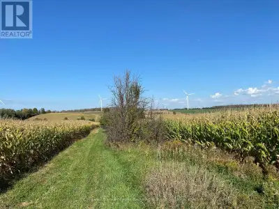 Approximately 94 agricultural acres for sale in Bruce County west of Highway 21, between Tiverton an...