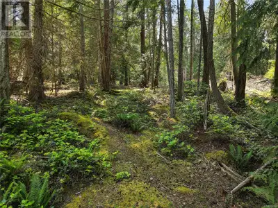 Bare land in the sought out Lighthouse area! A subtle pathway leads you through this quiet 0.33 acre...