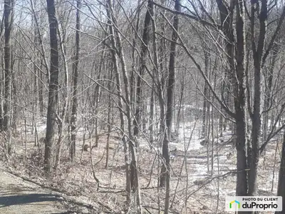 Terrain boisé de 3 300 mètres carrés dans le développement du chemin Mont-Roy. Situé au bas de la mo...