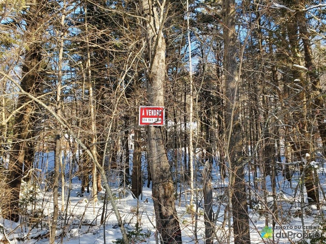 $439,000 - Wood Lot for sale in St-Calixte — photo 3