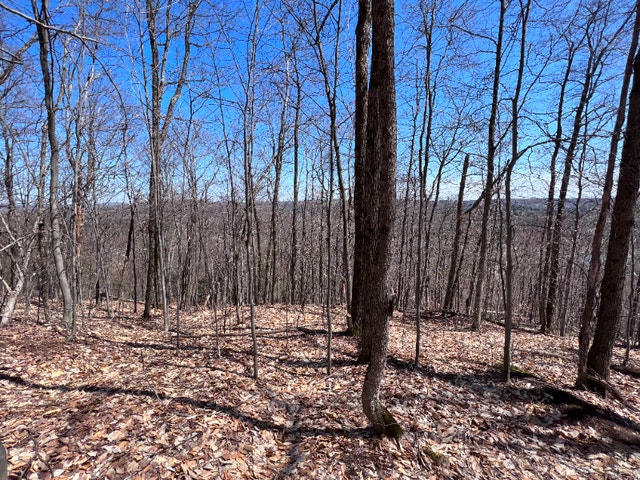 Terrain de 18 000 pi2 à vendre secteur Blue Hill à Morin-Heights — photo 2