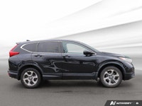 At Kia of Hamilton we strive to exceed expectations! With that, we meticulously go through each of o... (image 5)