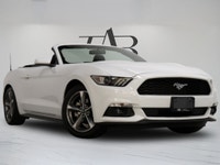 This 2016 Ford Mustang V6 Convertible is a local Ontario vehicle that delivers iconic muscle car sty... (image 1)