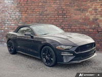 Come see this 2022 Ford Mustang GT Premium before it's too late! *Get Your Money's Worth for this Fo... (image 6)