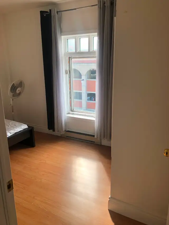 Ottawa university student  ideal living.  In the Ottawa market.63351297382657124