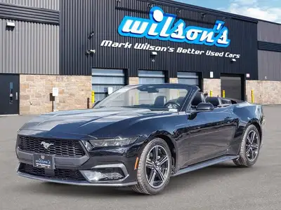 Look at this certified 2025 Ford Mustang EcoBoost Premium | Leather | Heated Wheel + Seats | CarPlay...