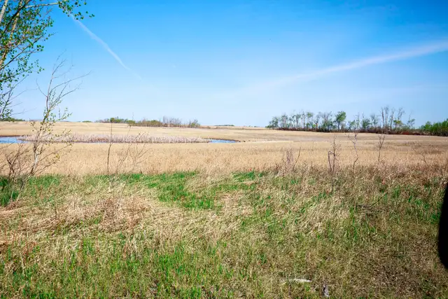 Productive Farmland | RM of Orkney # 244 | Near Willowbrook, SK in Land for Sale in Regina - Image 4