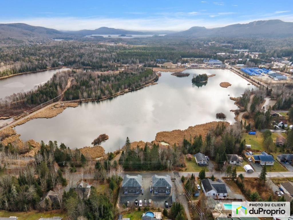 $1,175,000 - Quadruplex for sale in St-Donat — photo 3
