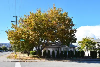 Cute two-bedroom one-bathroom house, includes fridge, gas range, washer & dryer, gas fireplace, wall...