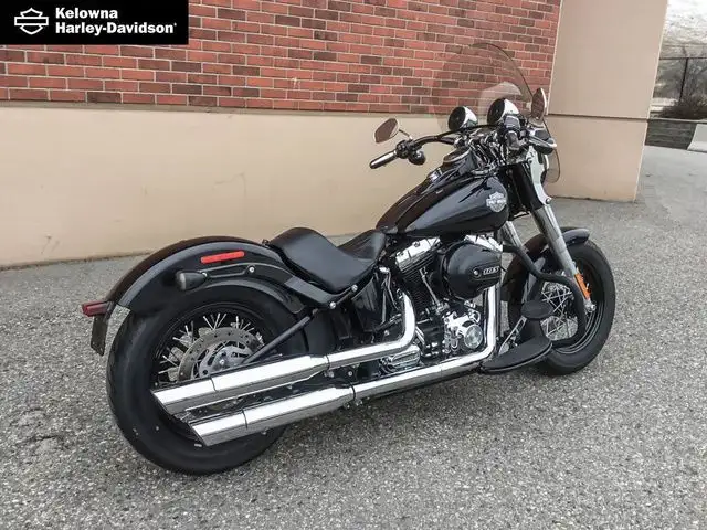 2017 Harley-Davidson FLS - Softail Slim in Street, Cruisers & Choppers in Kelowna - Image 5