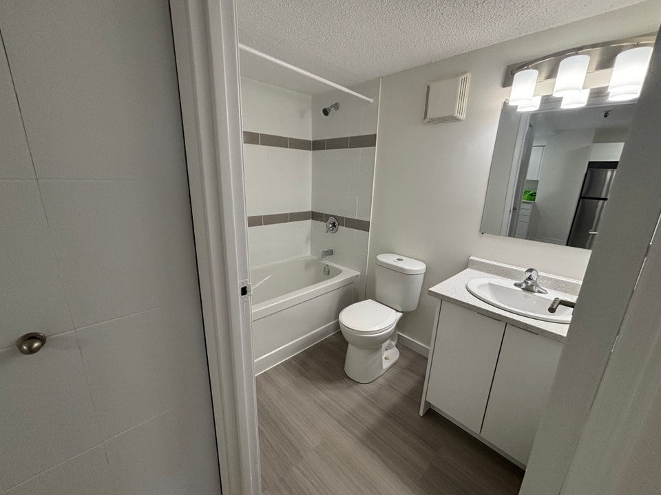 Newly renovated 1 bedroom suite - prime location! 3