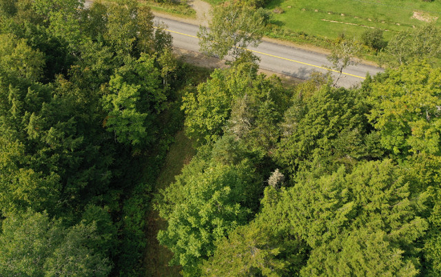4.32 acres on the beautiful Kingston Peninsula in Land for Sale in Saint John - Image 3