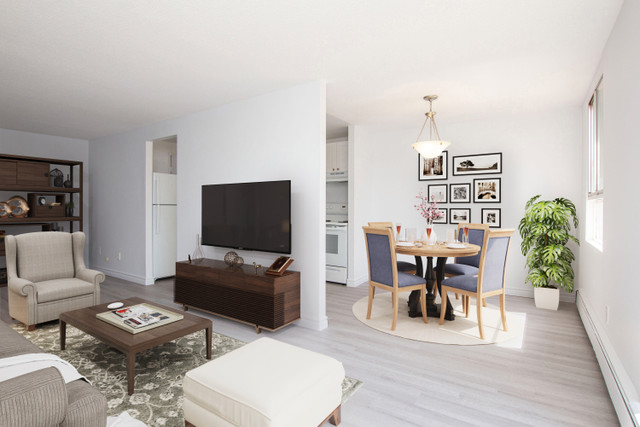 Cedar Street & St. Andrews St. - 1 month rent FREE! Call Now! in Long Term Rentals in Cambridge - Image 2