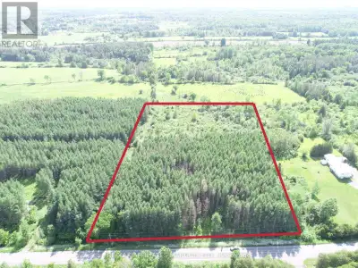 Build your dream home on a stunning 4.6-acre private retreat surrounded by mature trees and natural...