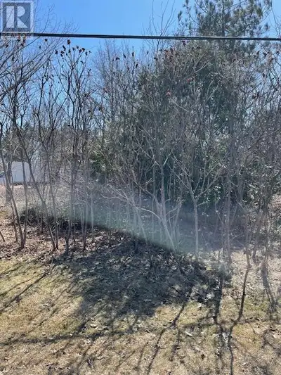 Vacant land for sale. Small vacant lot on Old Montreal Road. Aprox 0.13 of an acre. This lot is not...