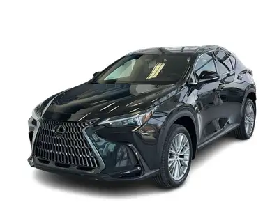 Modèle Premium. Apple Carplay, Sièges chauffants et ventilés en avant, volant chauffant, caméra de r...