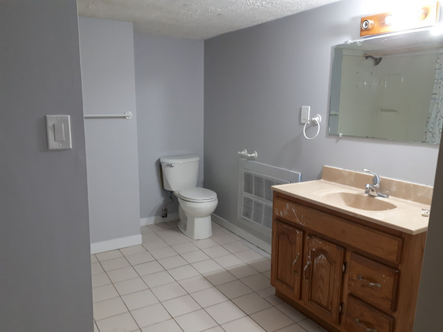 Cute One Bedroom Apartment ALL INCLUSIVE!! in Long Term Rentals in Sarnia - Image 3