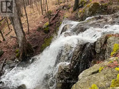 RARE! Cascading Waterfalls, Acreage, Beautiful Waterfront, & on the Rideau System. YOWZA! Imagine go...
