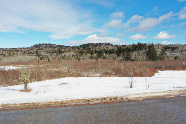 5 Acres located in the heart of the Kingston Peninsula in Land for Sale in Saint John - Image 3