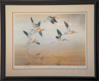 "The Avocets" Birds framed print: Weatherly
