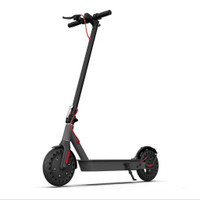 Gyro Pro 350 Watt Stand-Up Scooter w/ Airless Tires $695