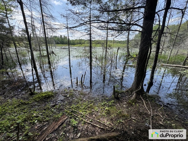$448,000 - Residential Lot for sale in Gore — photo 2