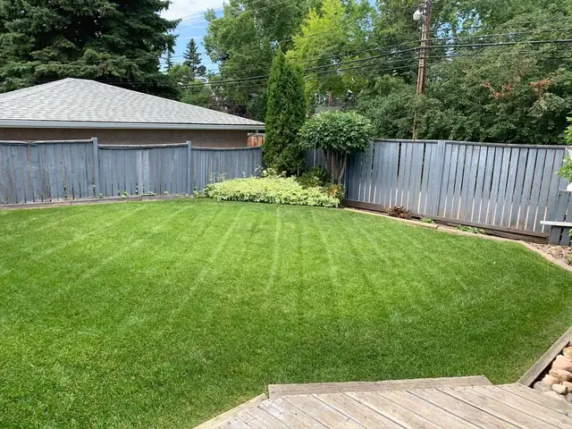 ✅ GTA Landscaping – Grass Cutting – Backyard Design – Free Quote62863713997187122