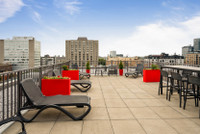 Condo logement Apartment for rent-1 chambre/bedroom-3.5 3 1/2 Metro Berri, UQAM, CHUM, Vieux Port, Q... (image 8)