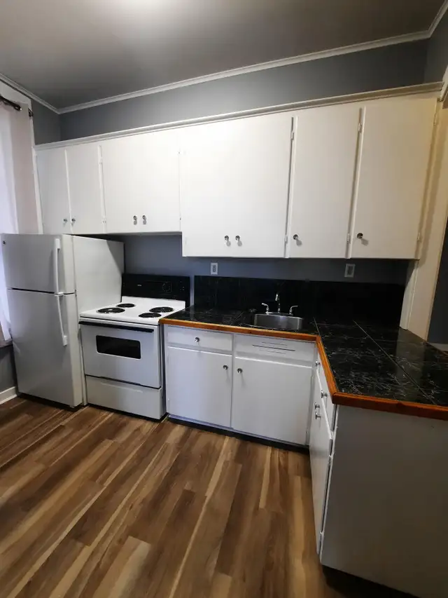 5B Hawthorne Ave, 1-Bedroom Apartment for Rent in Saint John, NB in Long Term Rentals in Saint John - Image 4