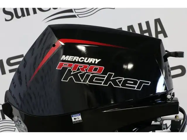 2024 Mercury 9.9EXLPT PK EFI PIED X-LONG (25 POUCES) ENR. in Powerboats & Motorboats in Laurentides - Image 3