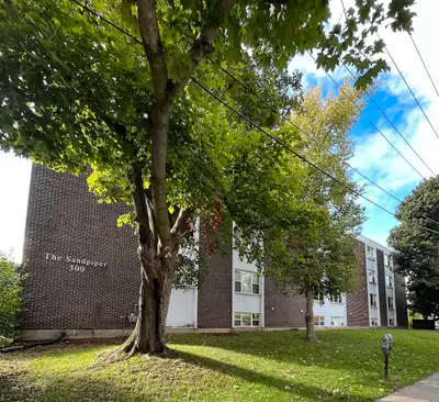 300 Regent Street - Cozy All-Inclusive Bachelor for Rent!