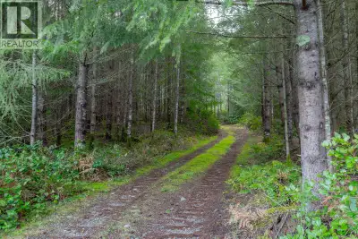 Lot 13 Longview Place offers a rare opportunity to own 5 acres in the highly desirable North Jingle...
