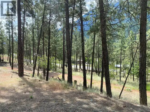 101 AIRPORT Road Lillooet, British Columbia in Land for Sale in Whistler - Image 9