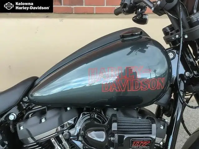 2025 Harley-Davidson FXLRS - Low Rider S in Street, Cruisers & Choppers in Kelowna - Image 10