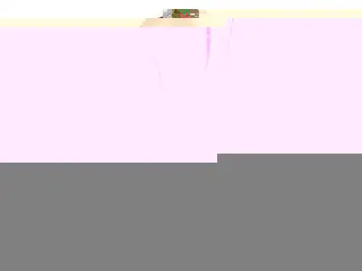 Bay Marine Sales 2025 Mercury Marine Pro XS 150 hpBay Marinein.Selling Fun For Over 50 Years.in.Grea...