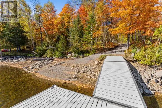 100 RUSSELL DRIVE Trent Lakes, Ontario in Land for Sale in Muskoka - Image 12