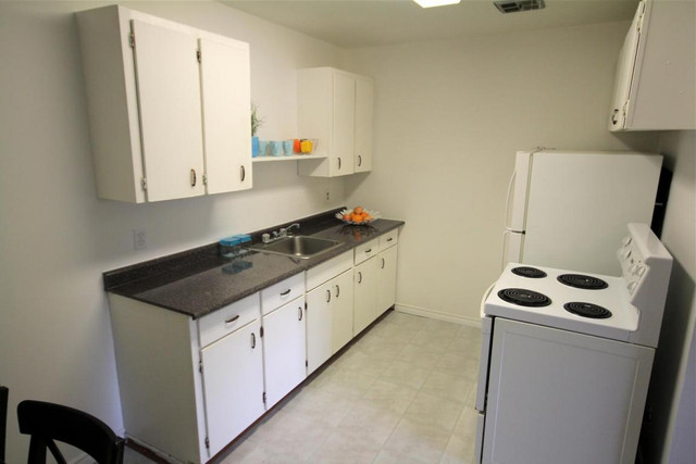 2 Bedroom Available in Brighton | $500 Off FMR | Call Now! in Long Term Rentals in Trenton - Image 3
