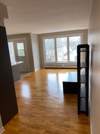 Welcome to this beautifully renovated one-bedroom apartment at 6252 London Street in Halifax, Nova S... (image 2)