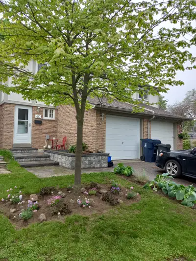 Clean quiet non party home in Scarboro. 24 hr bus at door.