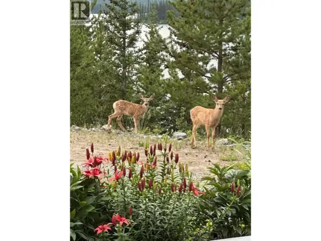 1909 OTTER ROAD Williams Lake, British Columbia in Houses for Sale in Campbell River - Image 28
