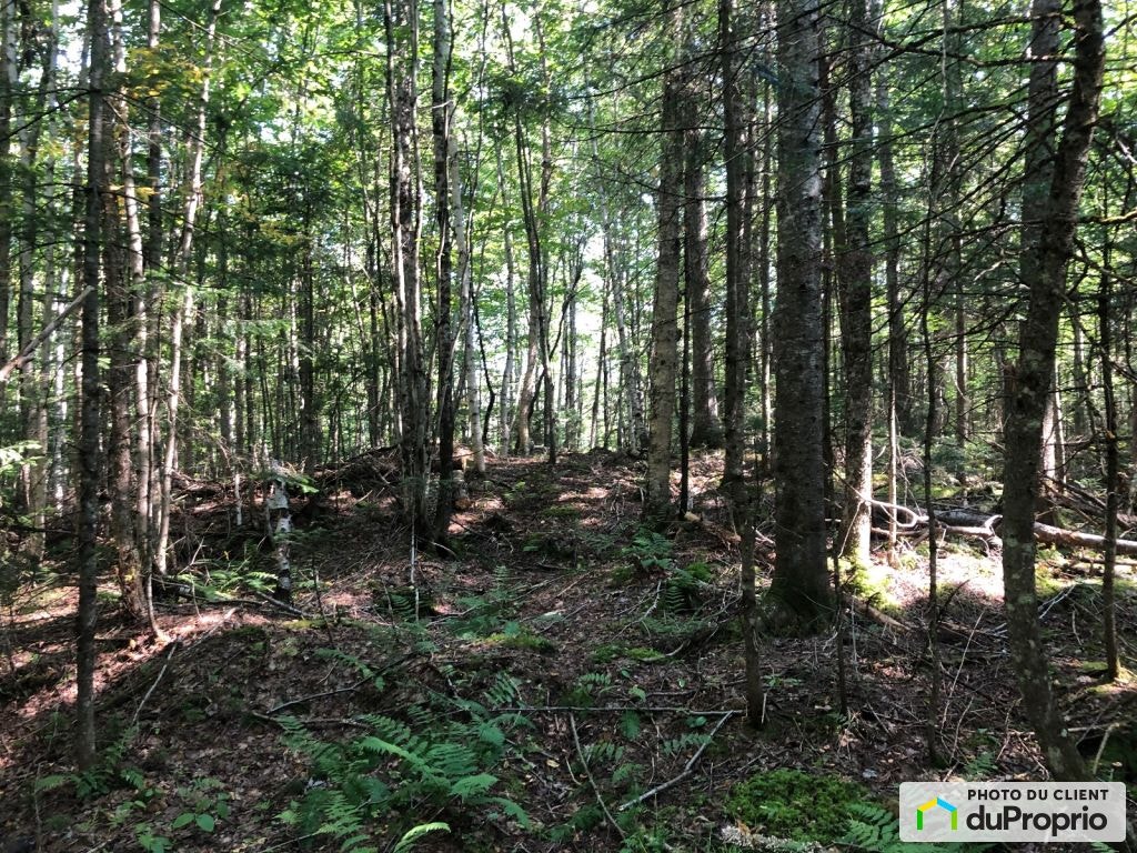 $76,475 - Residential Lot for sale in Stratford — photo 2