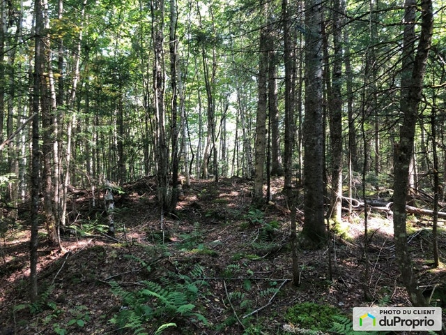 $76,475 - Residential Lot for sale in Stratford — photo 2