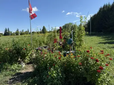 Looking for a great place to grow your own food this season? Melody Place Farm, JustFood communicty...