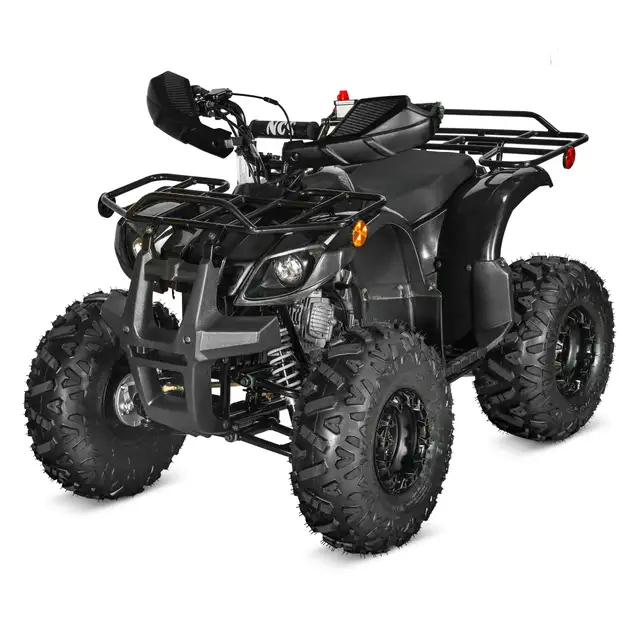 SBZ 125cc ATV Automatic w/ Reverse – New $999 in ATVs in Mississauga / Peel Region - Image 31