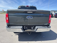 Remote Start, Apple CarPlay, Android Auto, Aluminum Wheels, Ford Co-Pilot360! SALES HOTLINE sales@cr... (image 3)