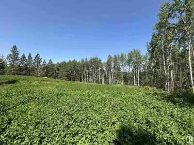 Nestled in the serene beauty of Star Lake Estates, this expansive 1.17-acre lot offers the perfect c...