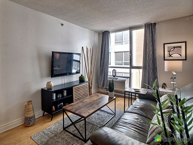 $379,000 - Condominium in Ville-Marie (downtown, old Mtl) — photo 3