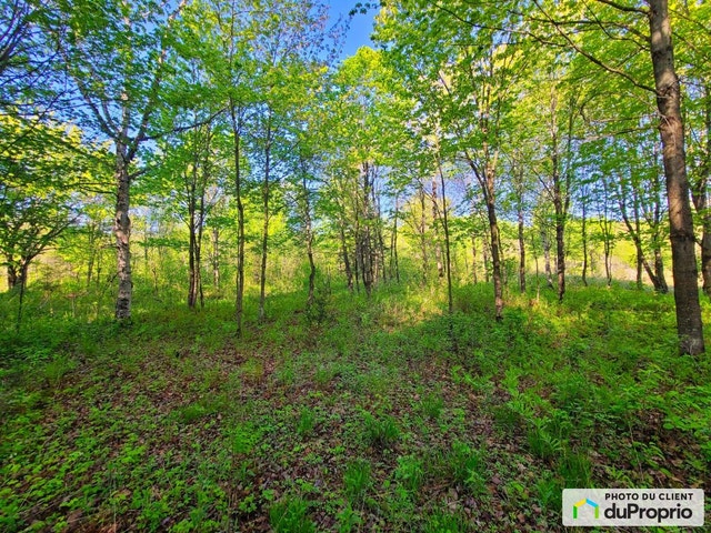 $185,500 - Price taxes not included - Residential Lot for sale — photo 2